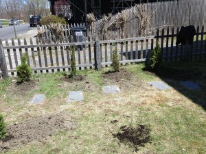 Look, I actually planted shrubberies. And they're not dead yet!