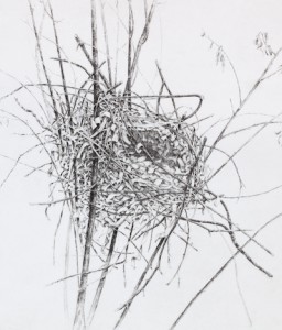 'Nest' by J Ann Eldridge
