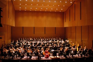 American Symphony Orchestra (photo Stephanie Berger)