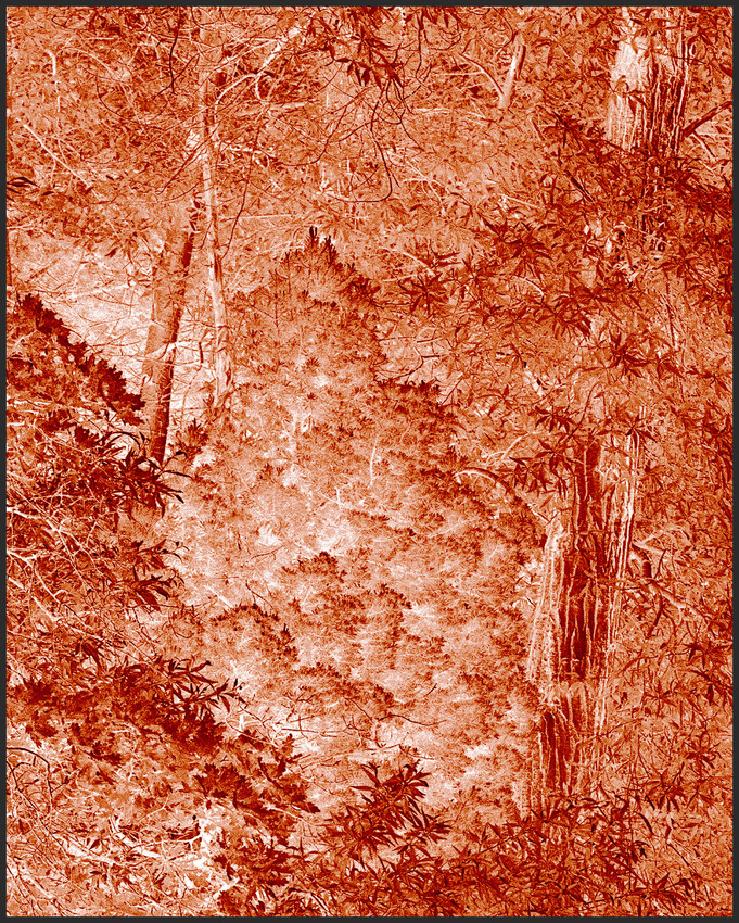 Clifford Ross, 'Harmonium II,' 2007. Archival pigment print on Japanese paper