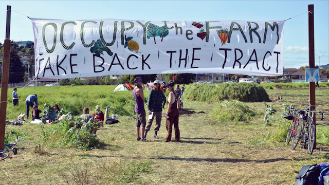 Occupy The Farm protestors